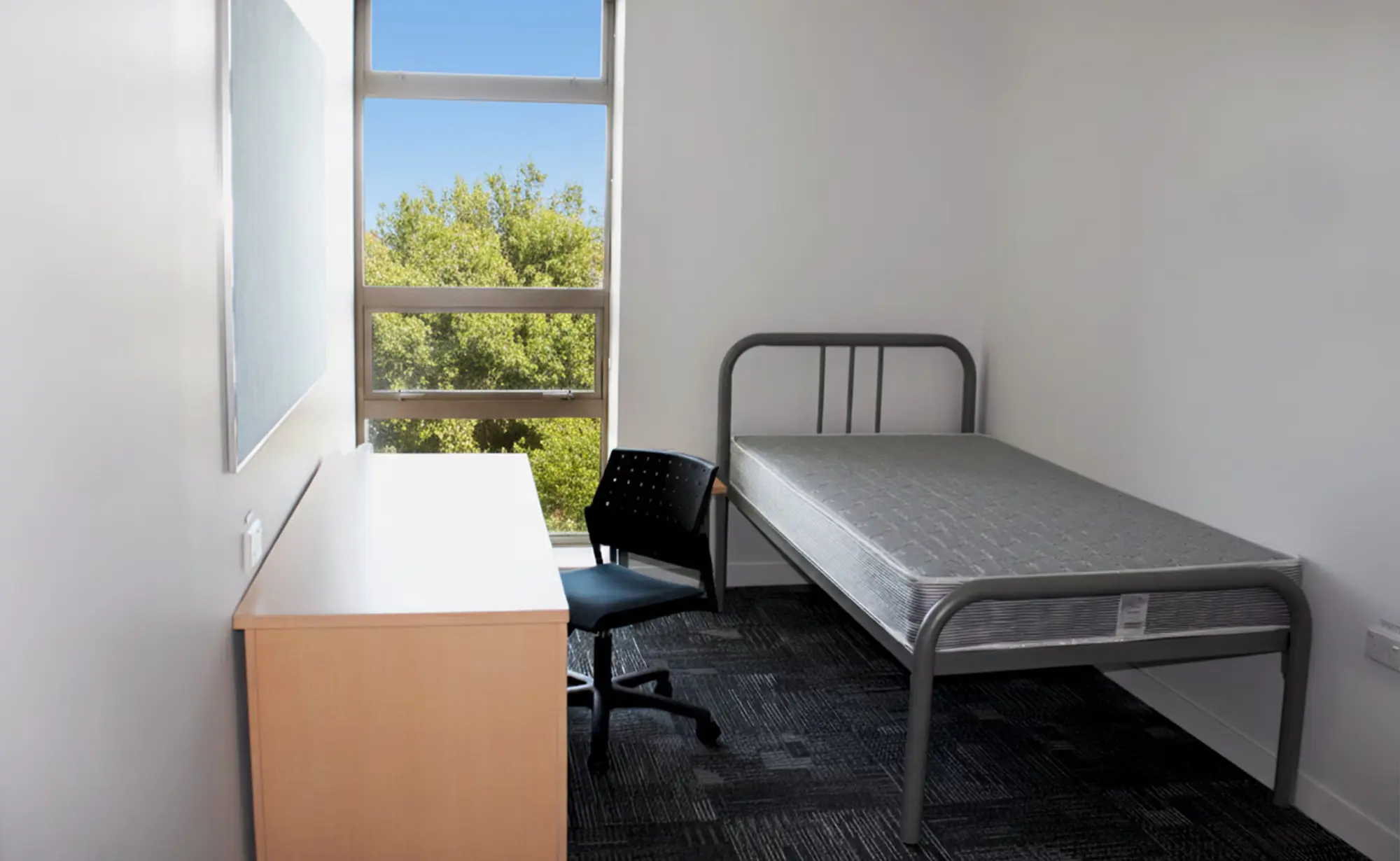 Grafton Dorm Bed
