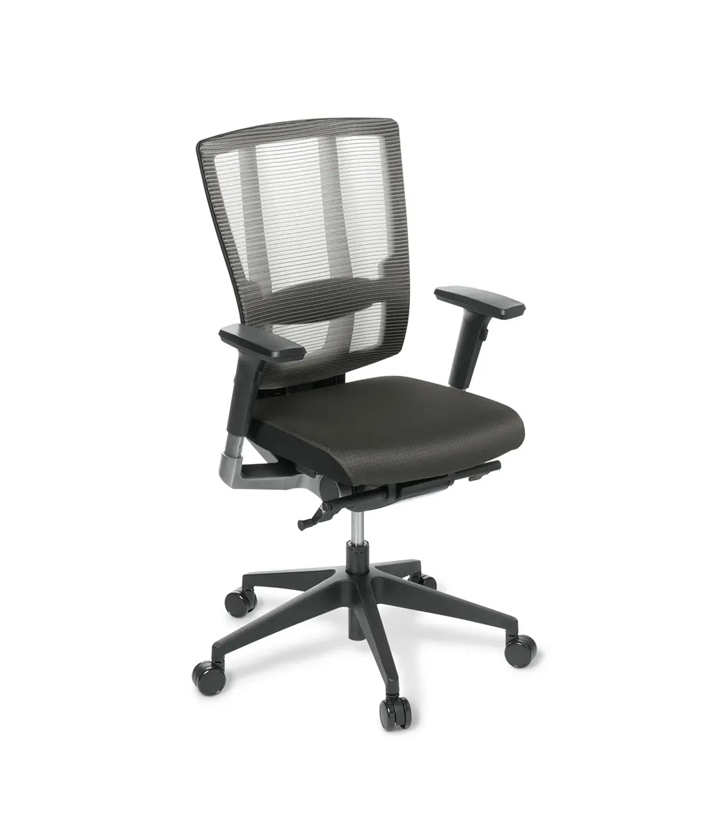 Cloud Ergo With Arms