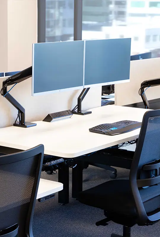 Governemnt Agency Auckland Thumbnail