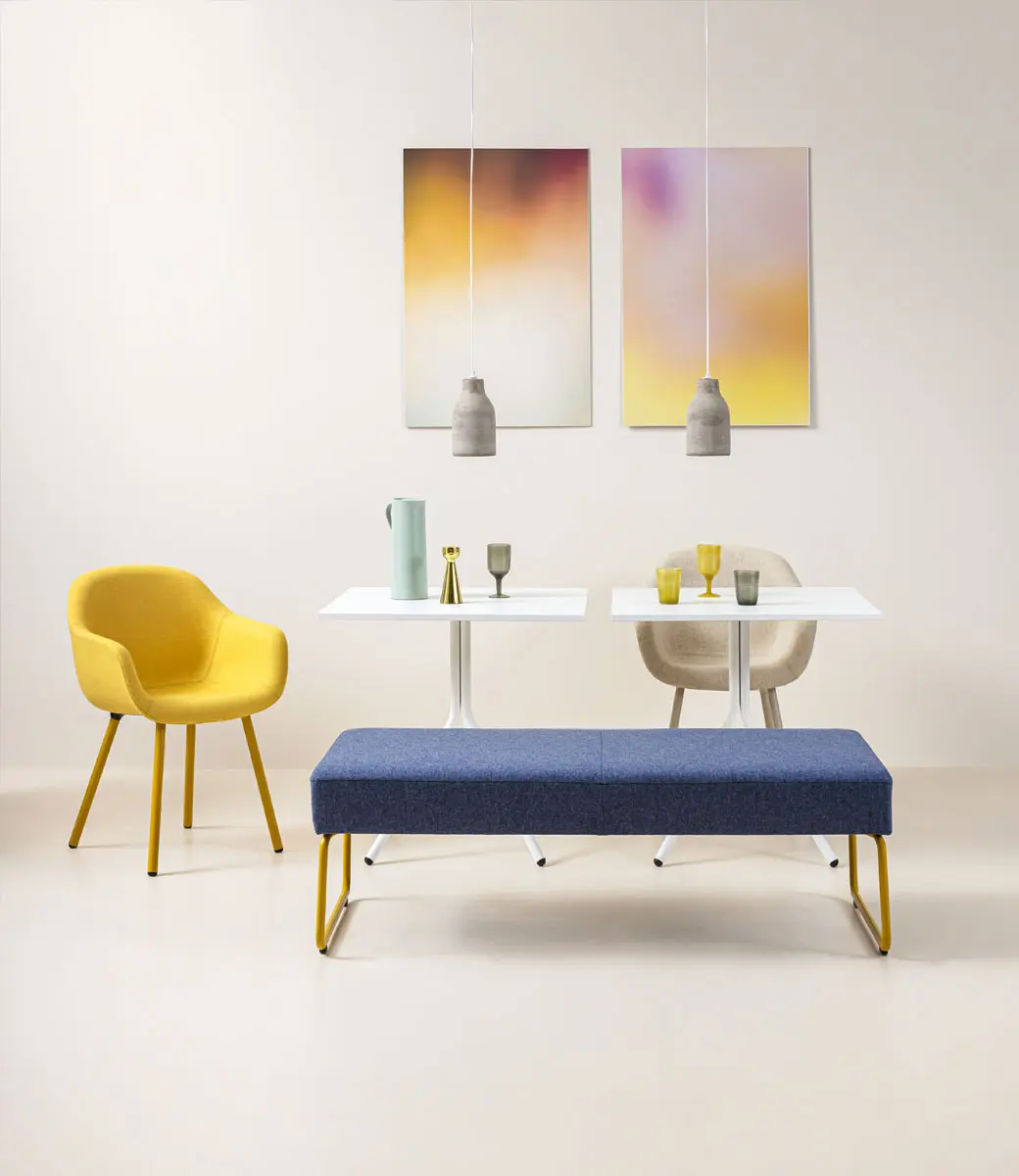 Fiore Club Beech in Situ