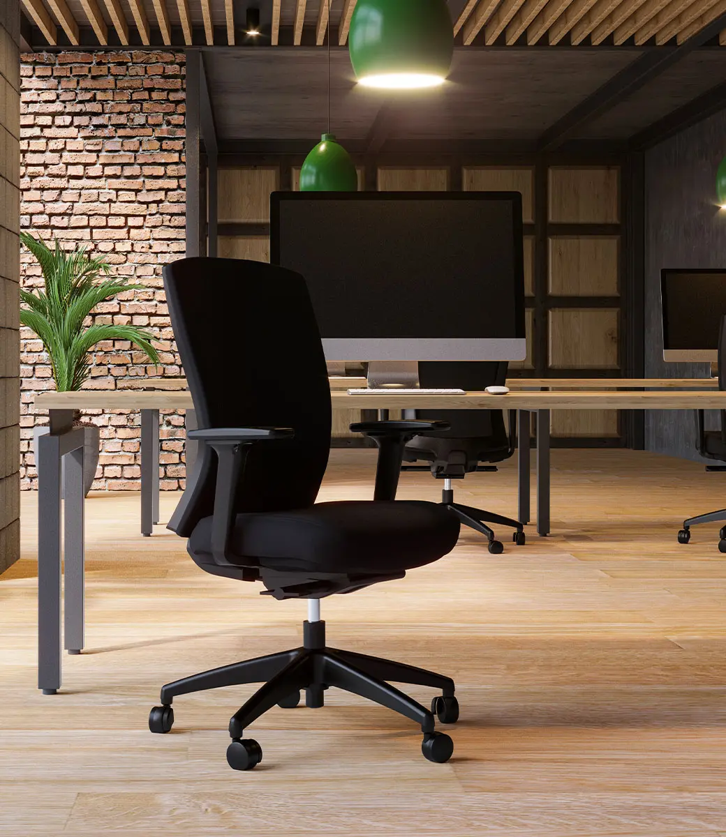 Mentor Task Seat Office Setting