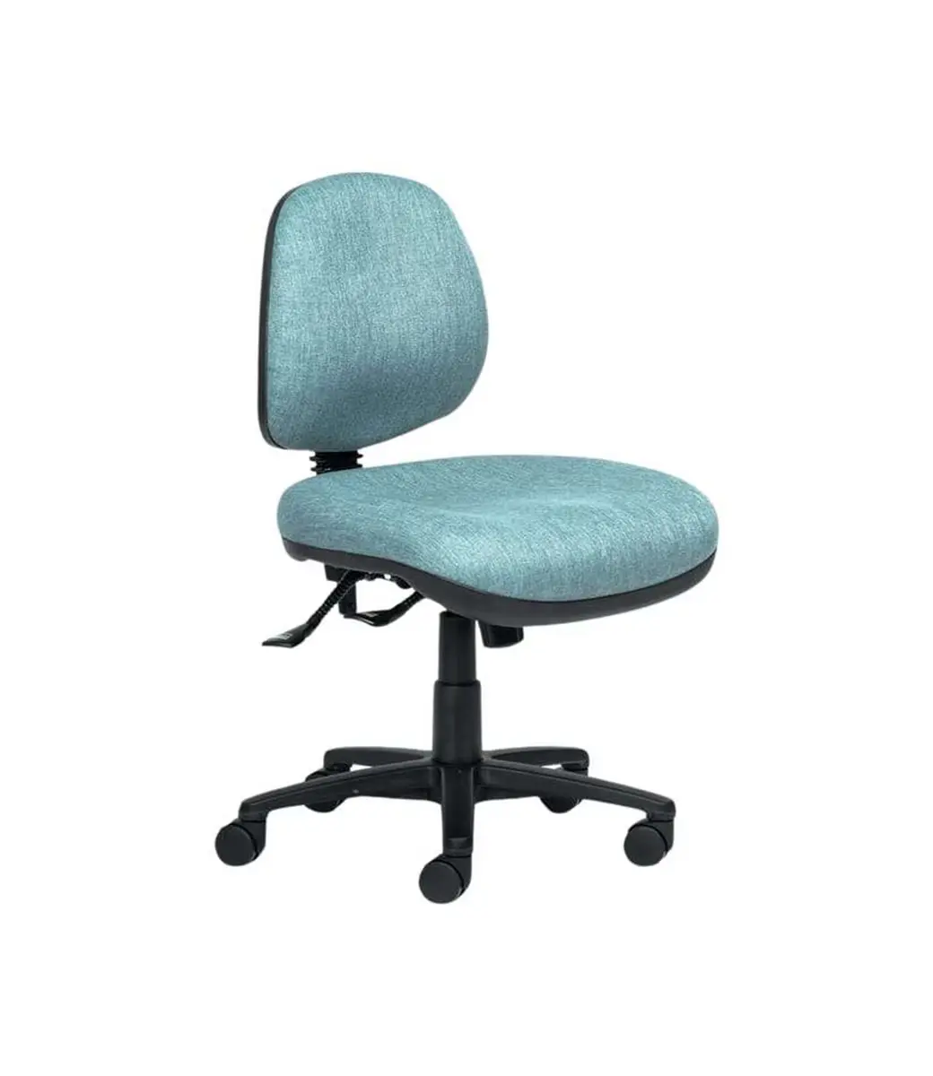 Delta Plus Mid Back Extra Wide Seat