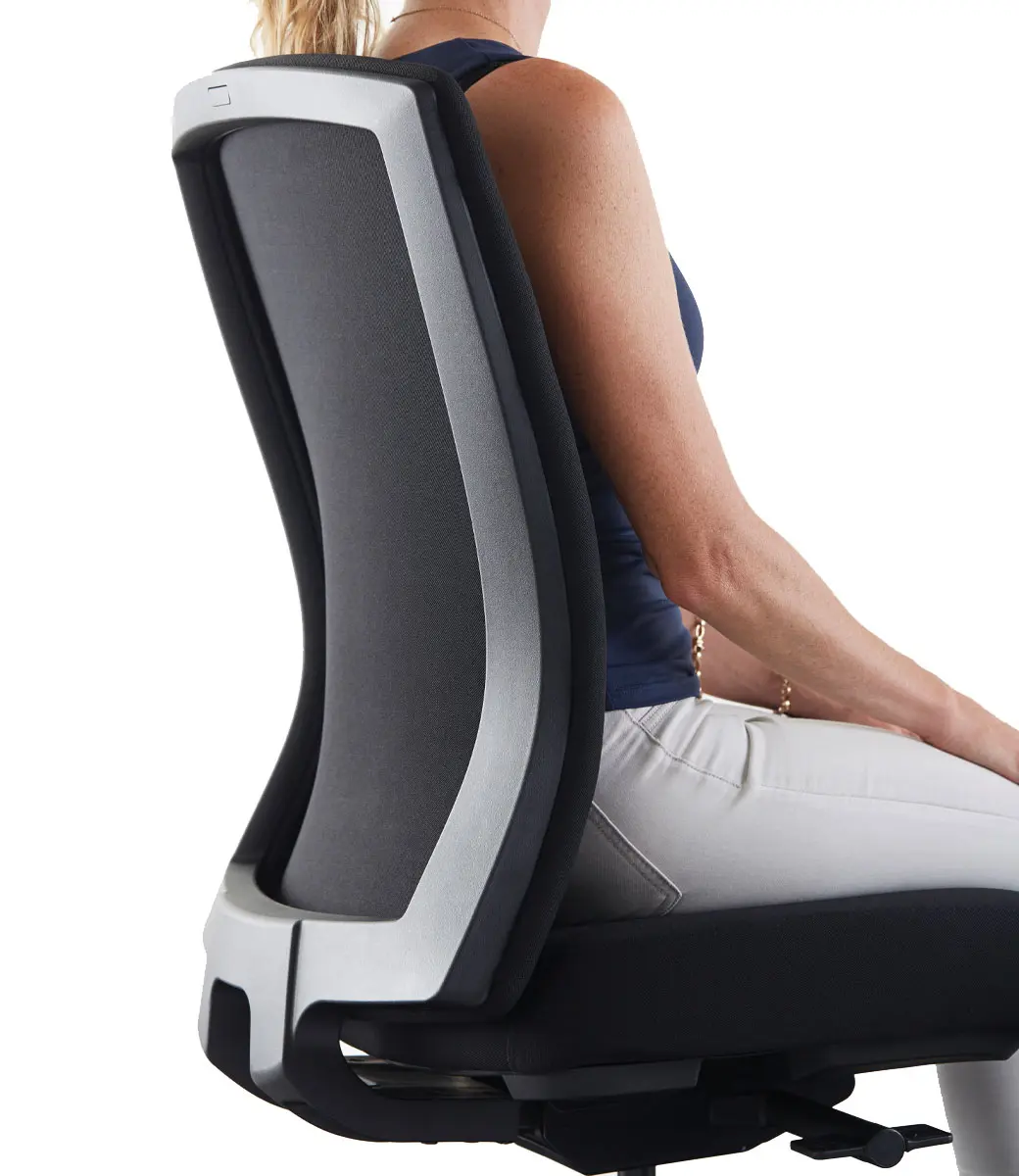 Mentor Mesh Back Support in Situ