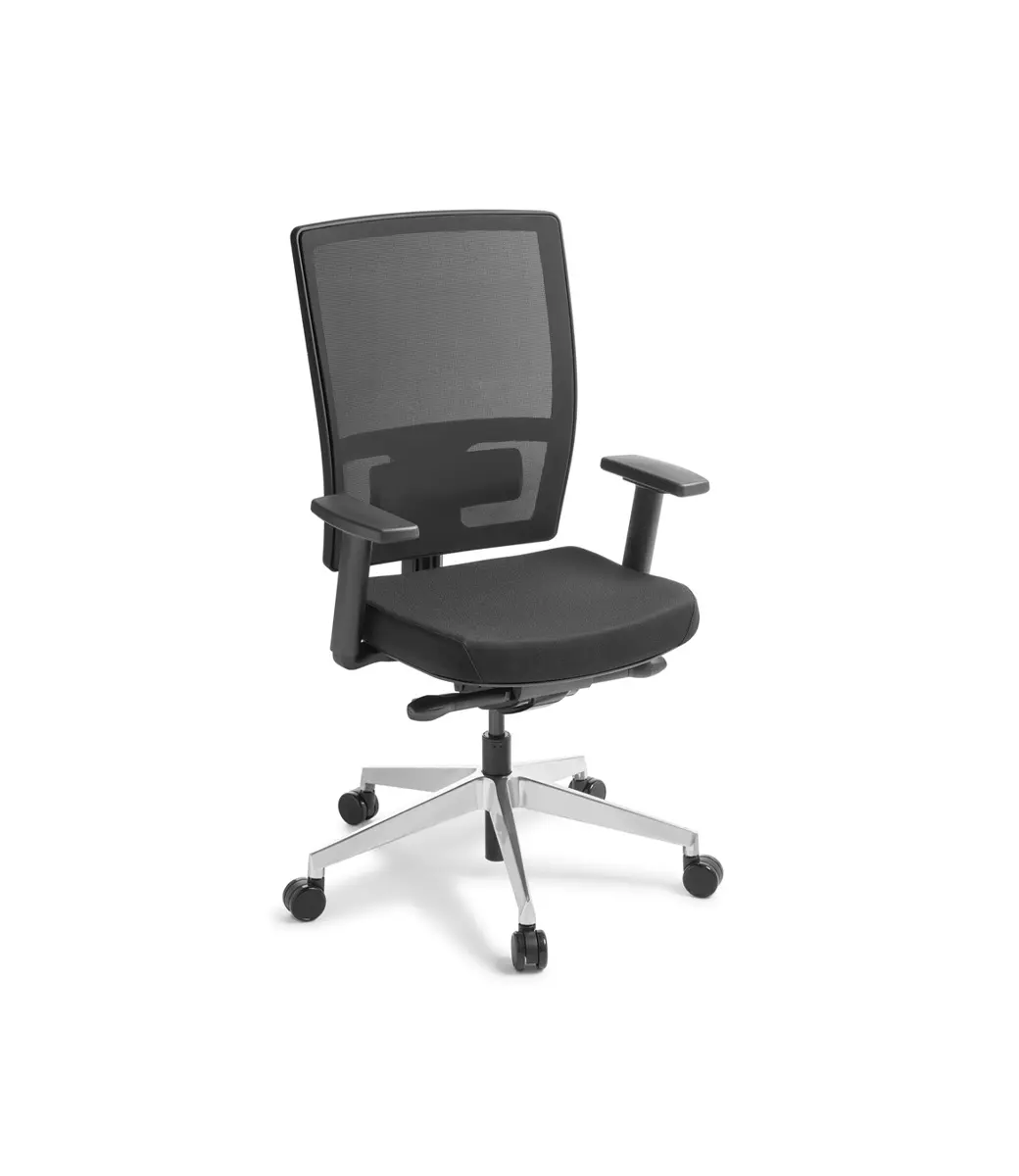 Media Ergo Arm Rest Lumbar Support