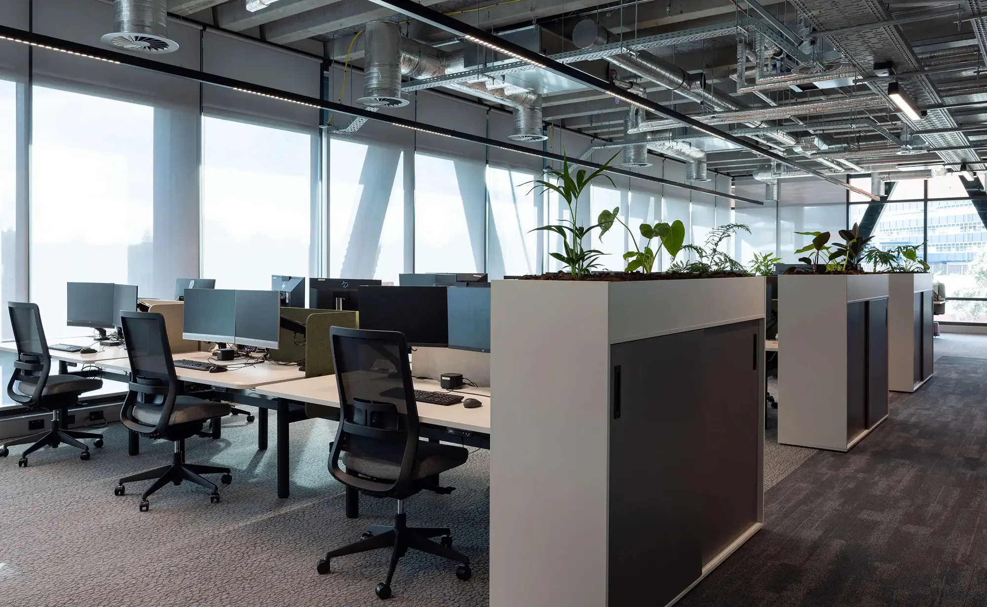 Whangarei Office Tambour