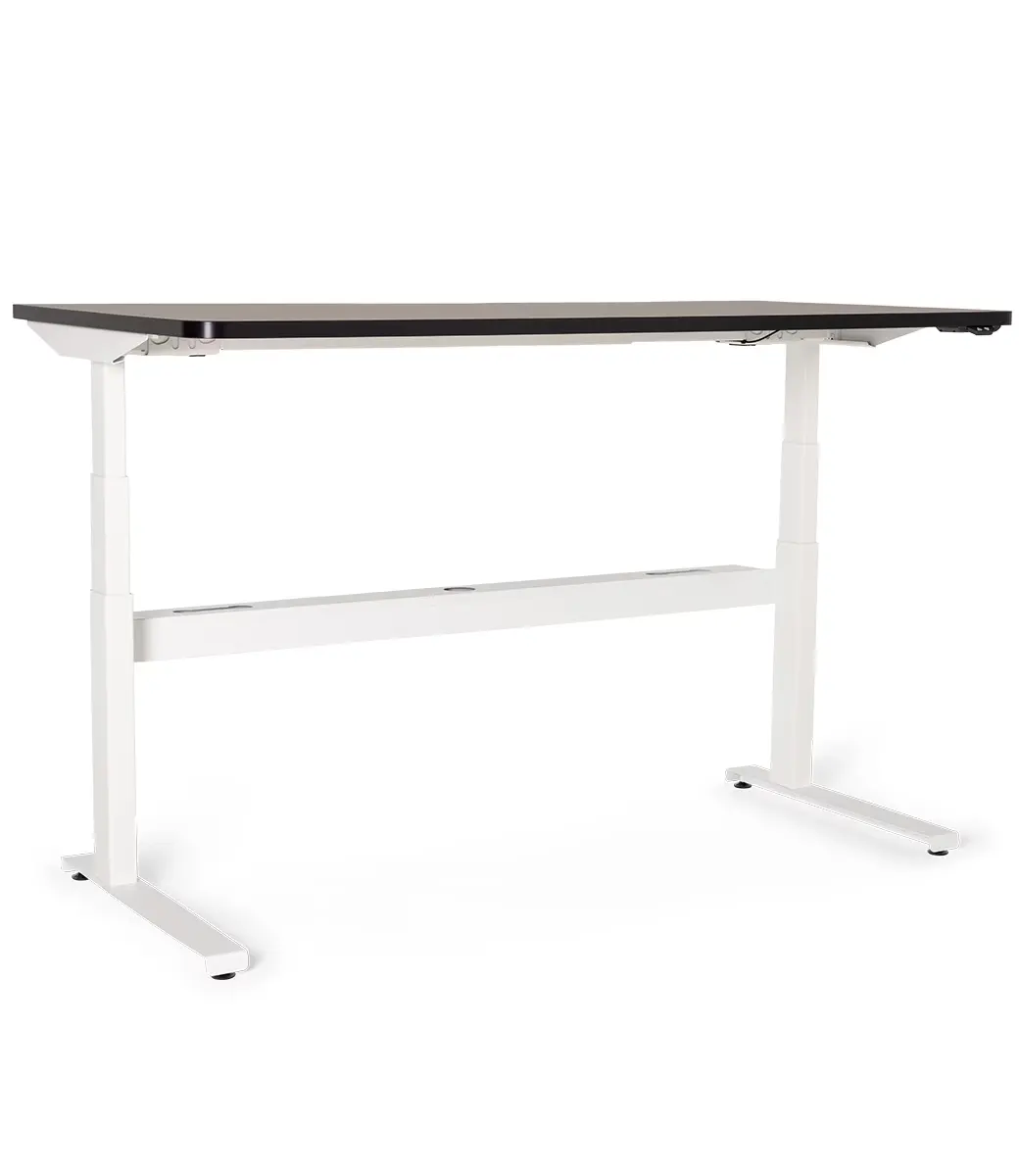 Apex Electric Sit Stand Desk Maxed out 
