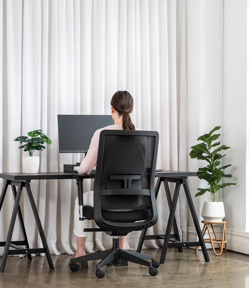 Verve Meshback Workspace