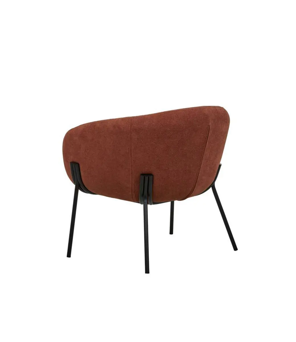 Ch Albie Occ Rdertbk 7