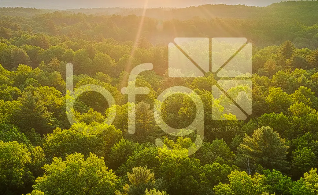 Sustainability1 With Logo