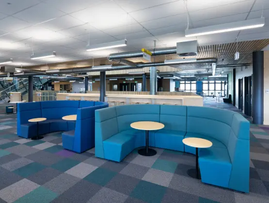 Bf G301119 09preview