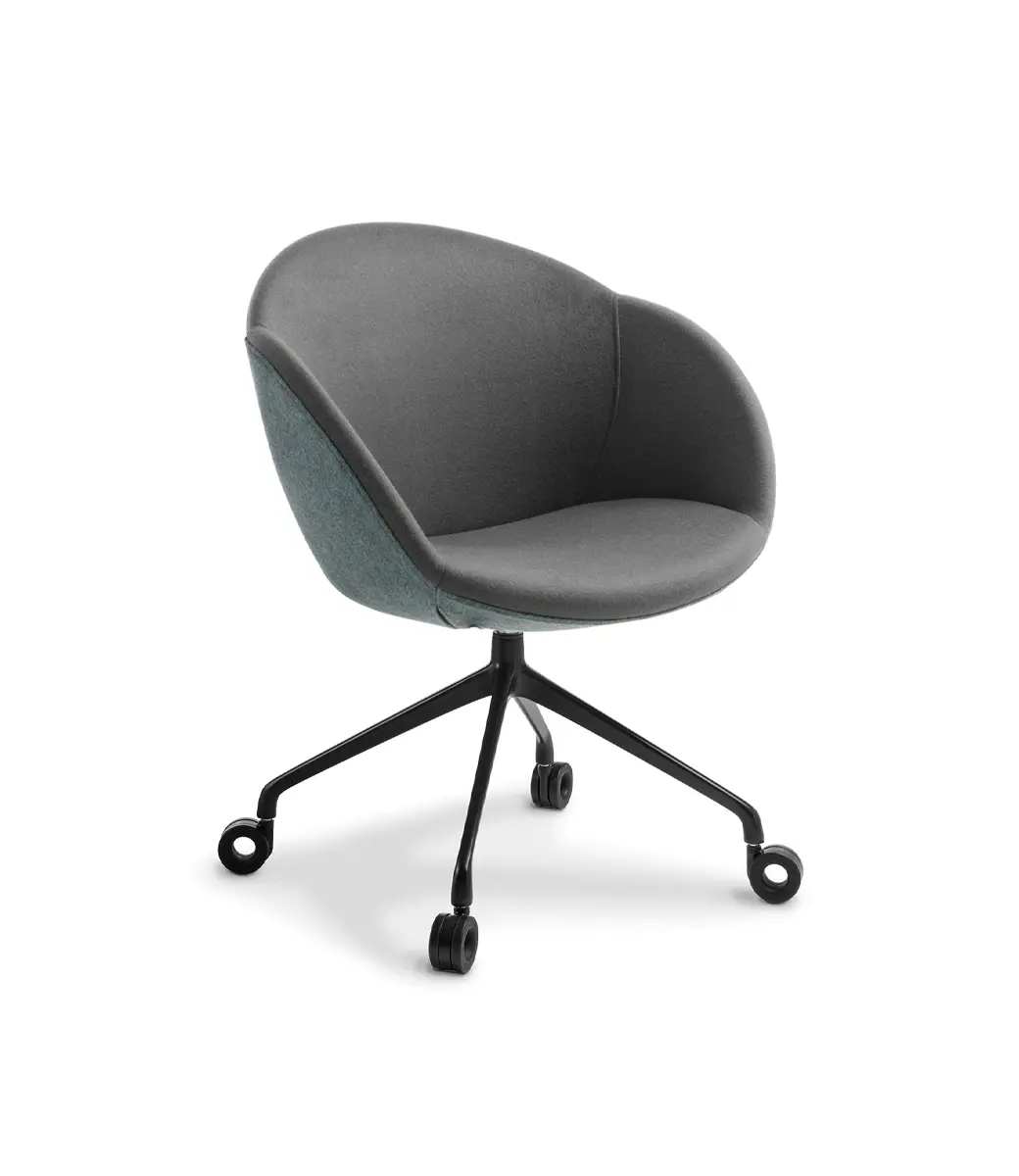 Amelia4 Star Swivel Black Synergy Familyand Synergy Compound Website