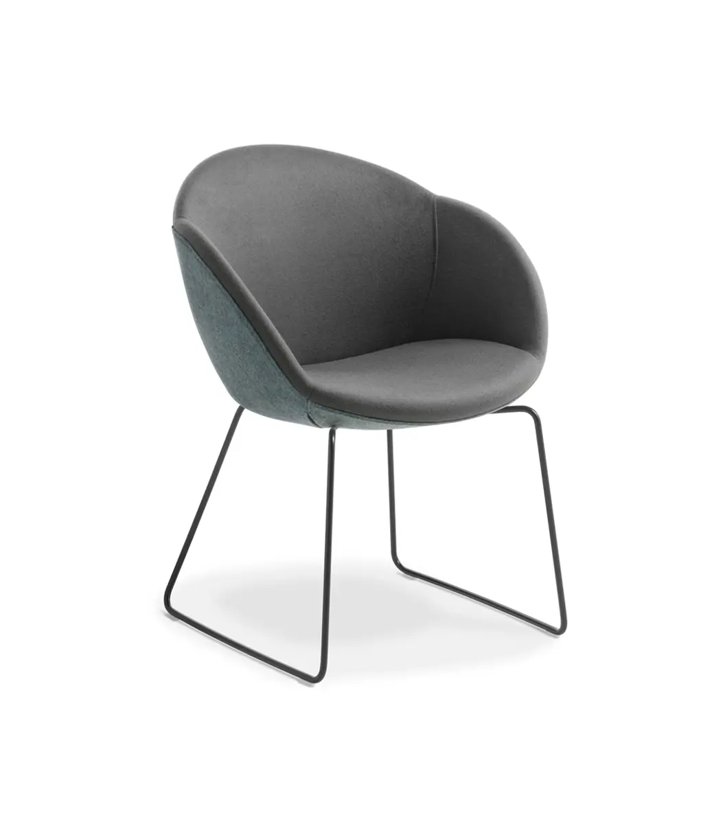 Amelia Sled Black Synergy Familyand Synergy Compound